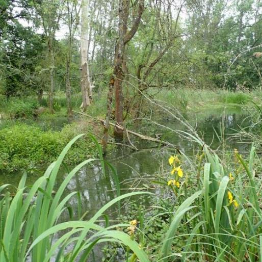 Biodiversité