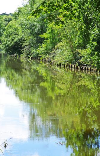 Le canal d'Orléans à Mardié (en amont de l'écluse)
