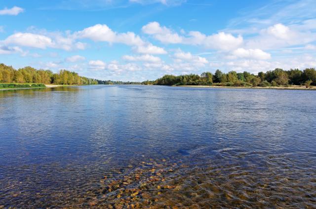 La Loire à Latingy (Mardié)