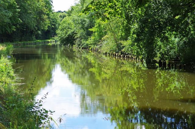 Le canal d'Orléans à Mardié (en amont de l'écluse)